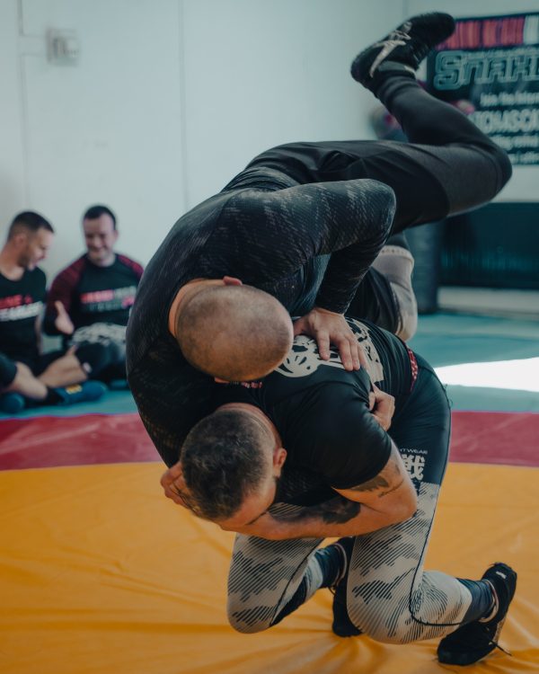 SnakePit Online Workshop - Throws